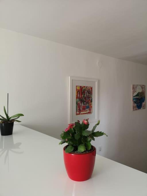 Studio Apartment Ivana - New Sweet Apartment Dubrovnik Kültér fotó